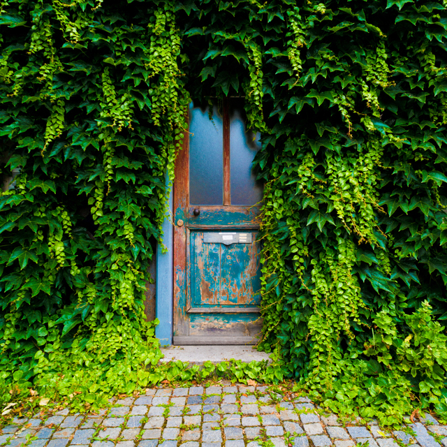 Green Door - ID 002439