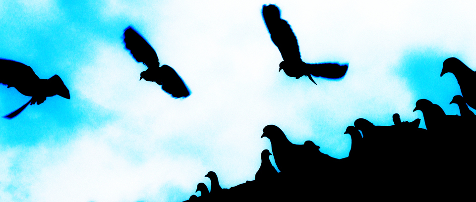 Aircraft Carrier I - ID 002520