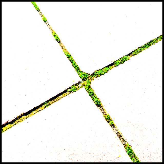 Green Cross - ID 002529