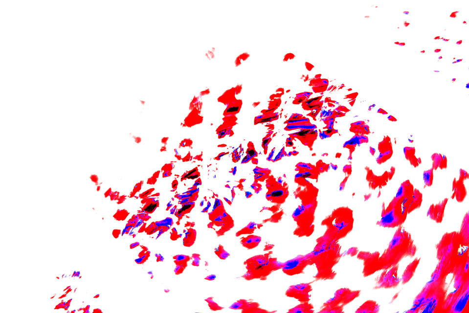 Broken Glass Impression II - ID 002557