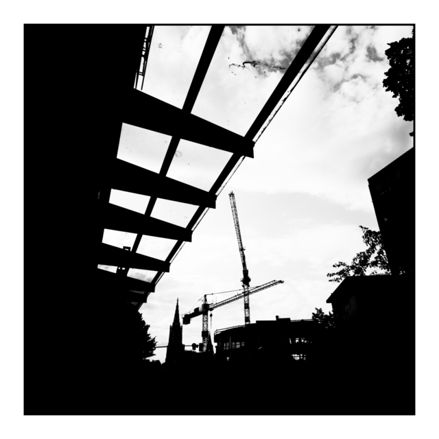 Cornered - ID 002564