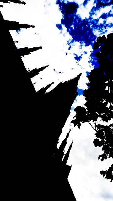 Domination - ID 002639