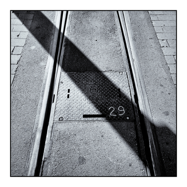 Shadow of Decision 29 - ID 002668