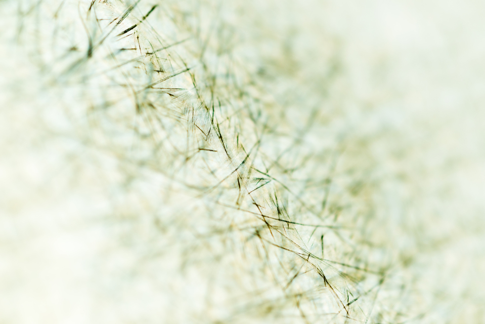 Partial Icy - ID 002678