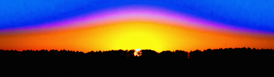 Sun and Trees - ID 002710