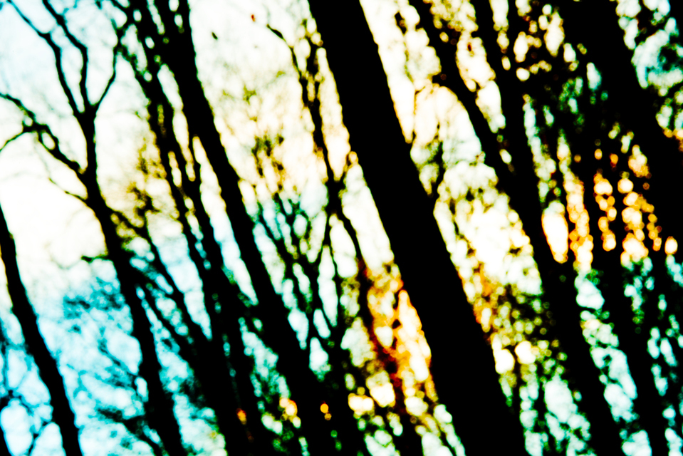 Winter Sun - ID 002737