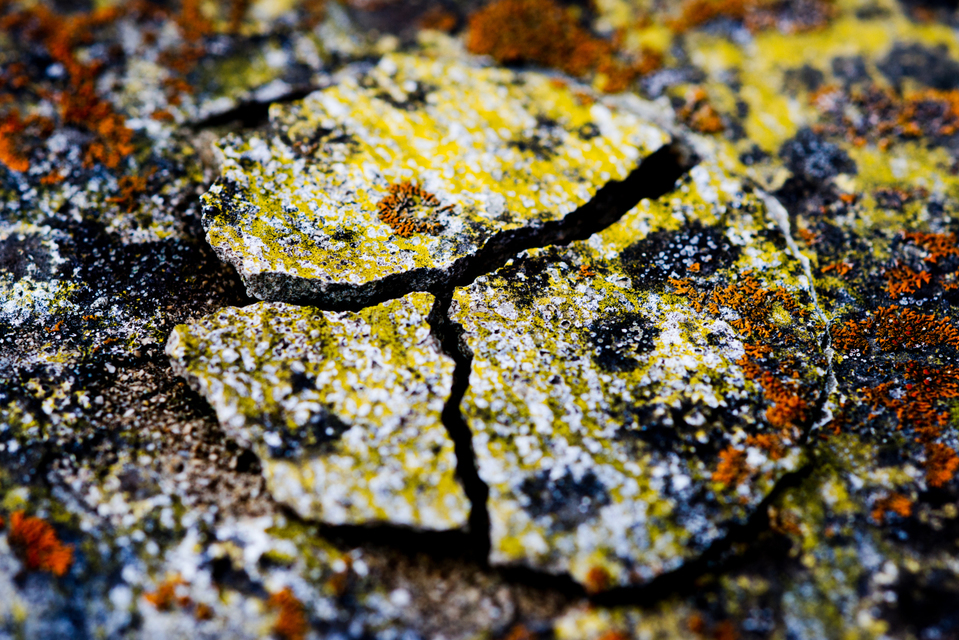 Power of Nature - ID 002747