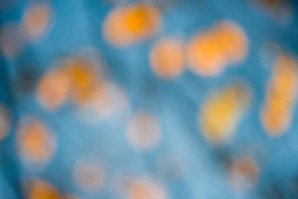 Orange Leaves 4 of V - ID 002750