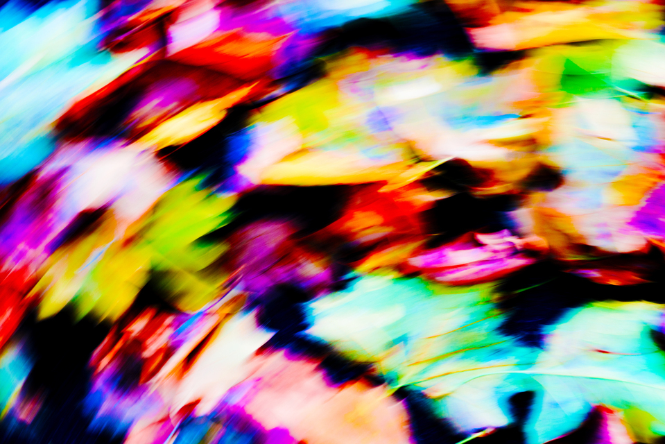 Leaves II - ID 002755