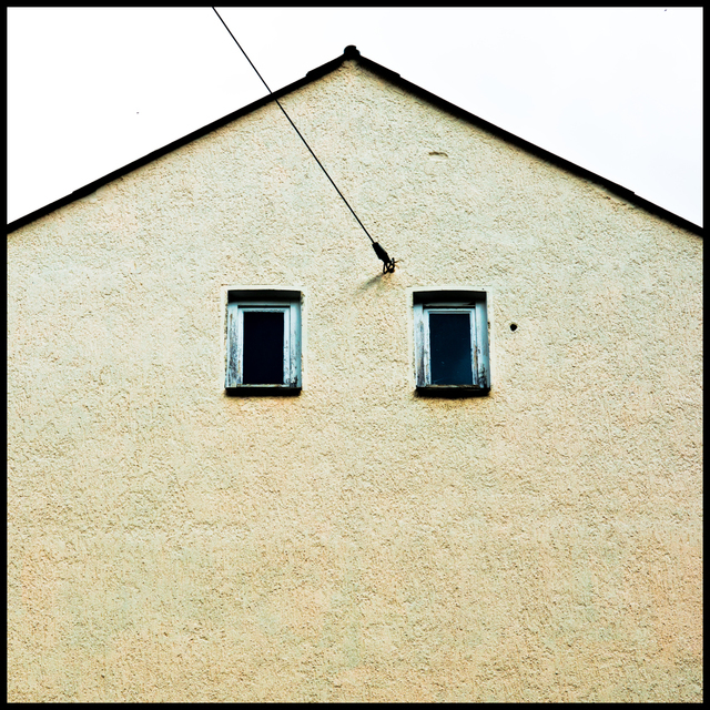 Two Eyes - ID 002854