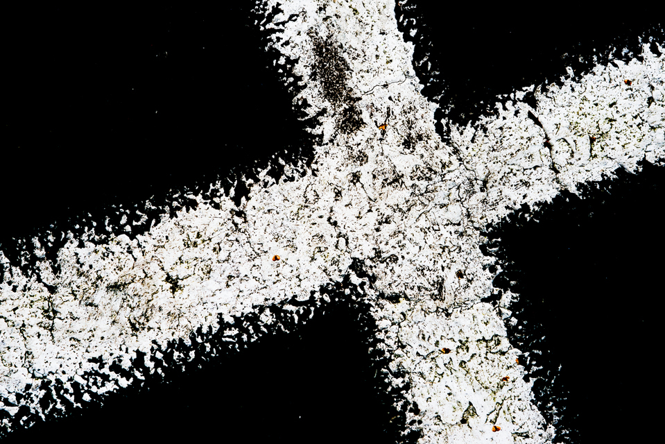 White Cross - ID 002855