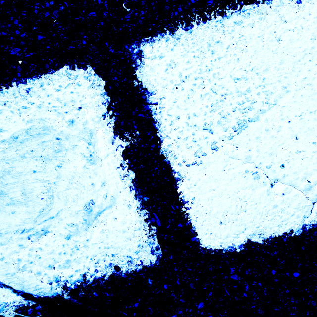 Interrupted White - ID 002856