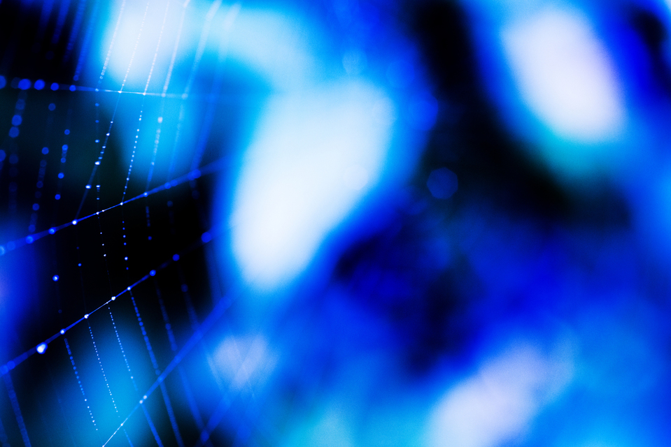 Blue Net - ID 002912