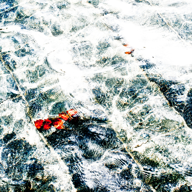 Amsterdam Water V - ID 003014