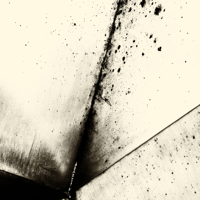 Stainless Steel I - ID 003025