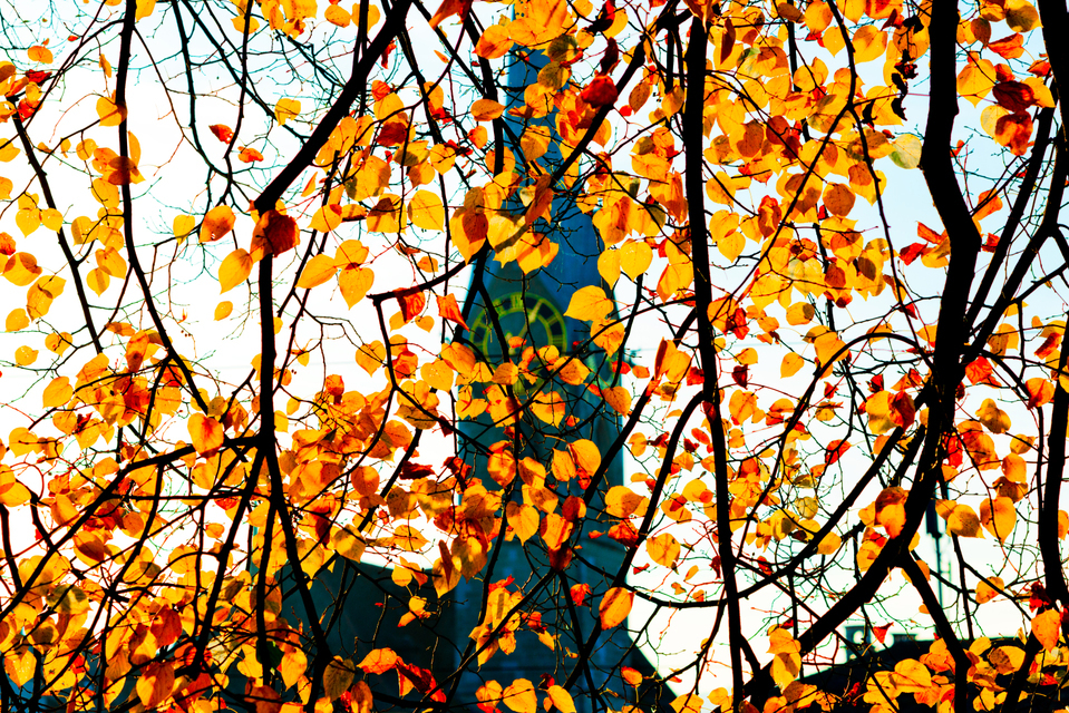 November Zurich I - ID 003036