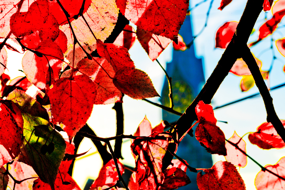 November Zurich II - ID 003037