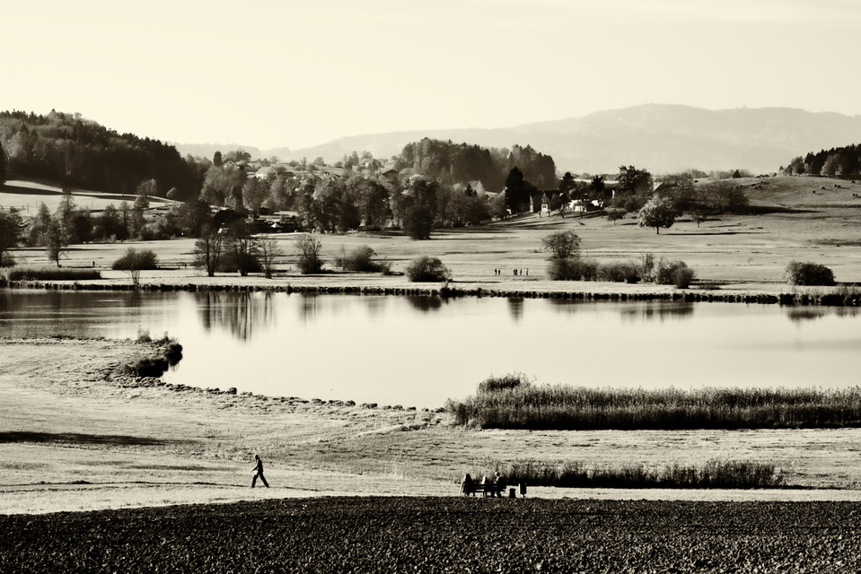 Suiss Lake - ID 003044