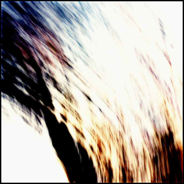 Tree Impression II - ID 003049