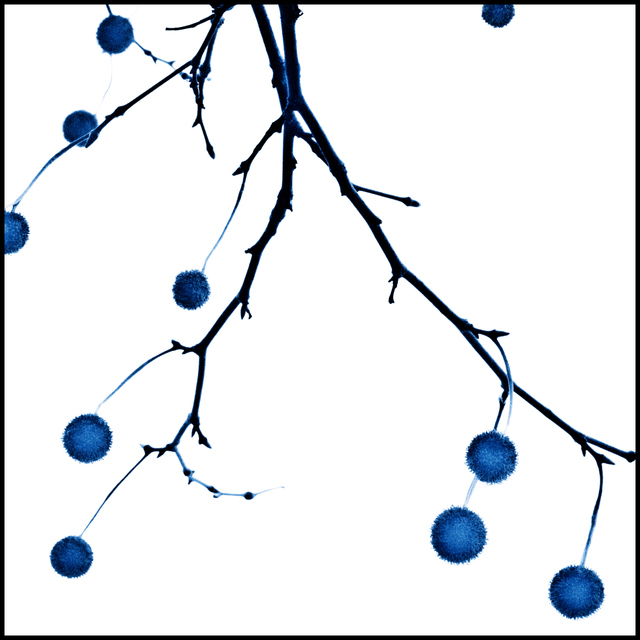 Balls - ID 003052