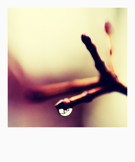 Drop - ID 003059