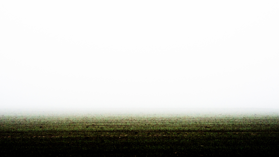 Fog - ID 003061