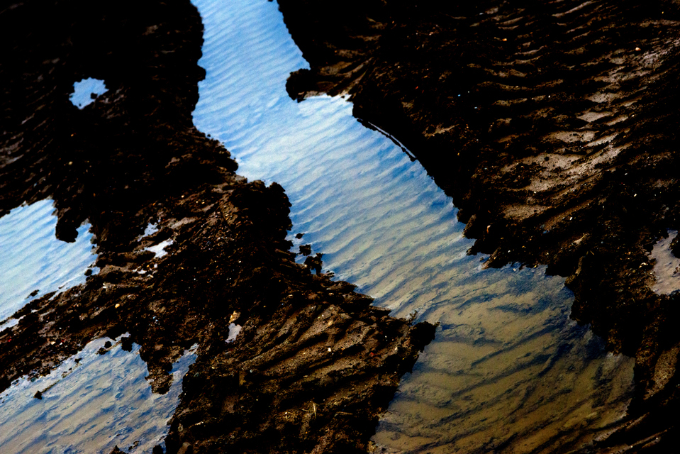 Traces in Dirt - ID 003064