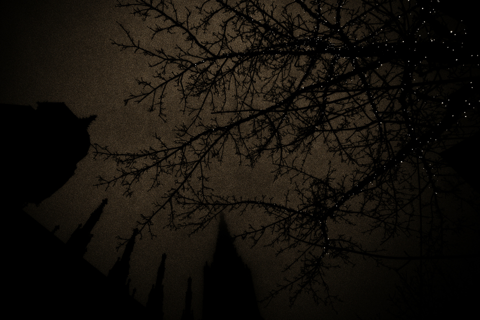 Human Starfield - ID 003075