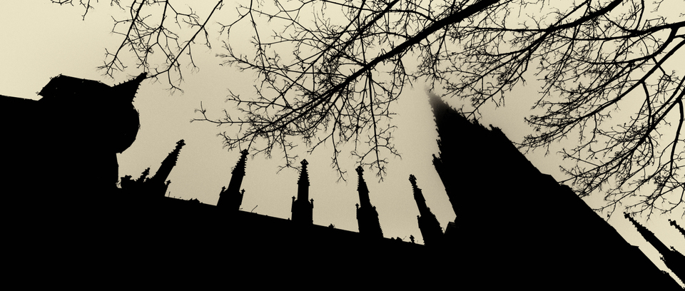 Tree in front of Minster - ID 003078