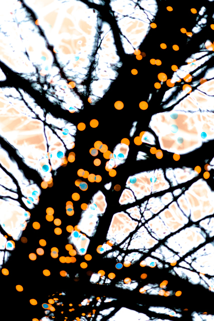Orange Lights - ID 003083