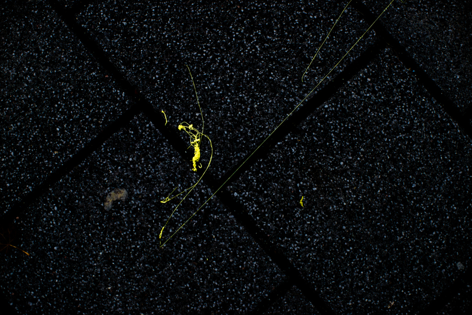 Street Art III - ID 003168