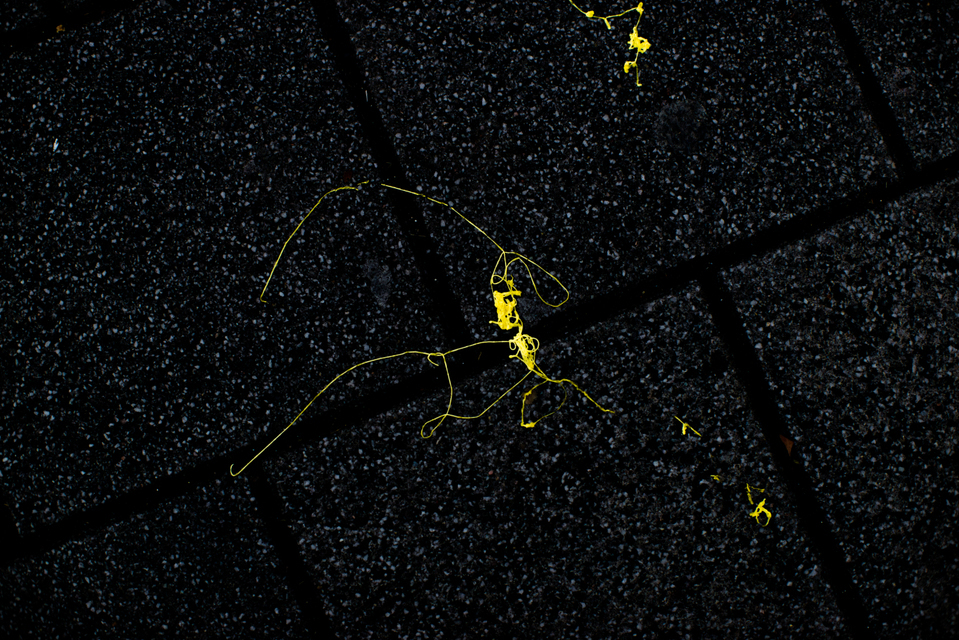 Street Art IV - ID 003169