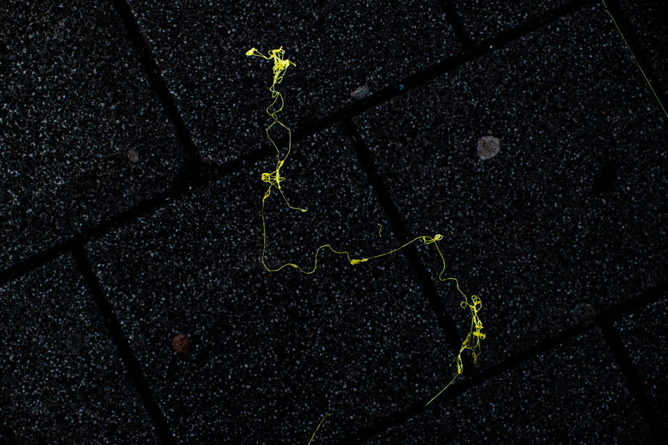 Street Art VI - ID 003171