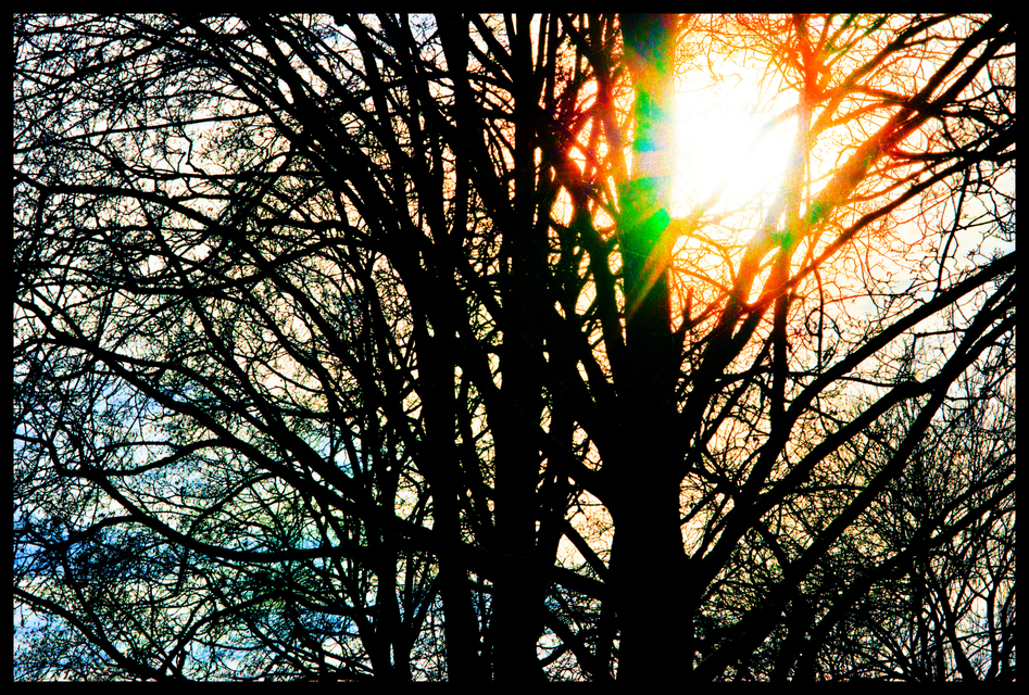 Winter Sun - ID 003172