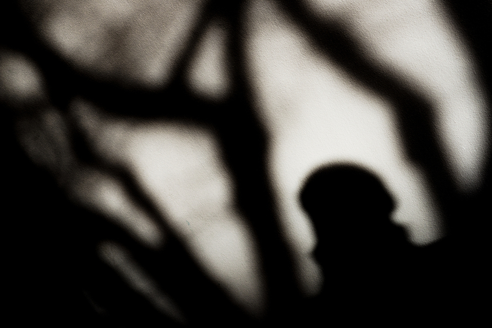 Shadow on the Wall II - ID 003180