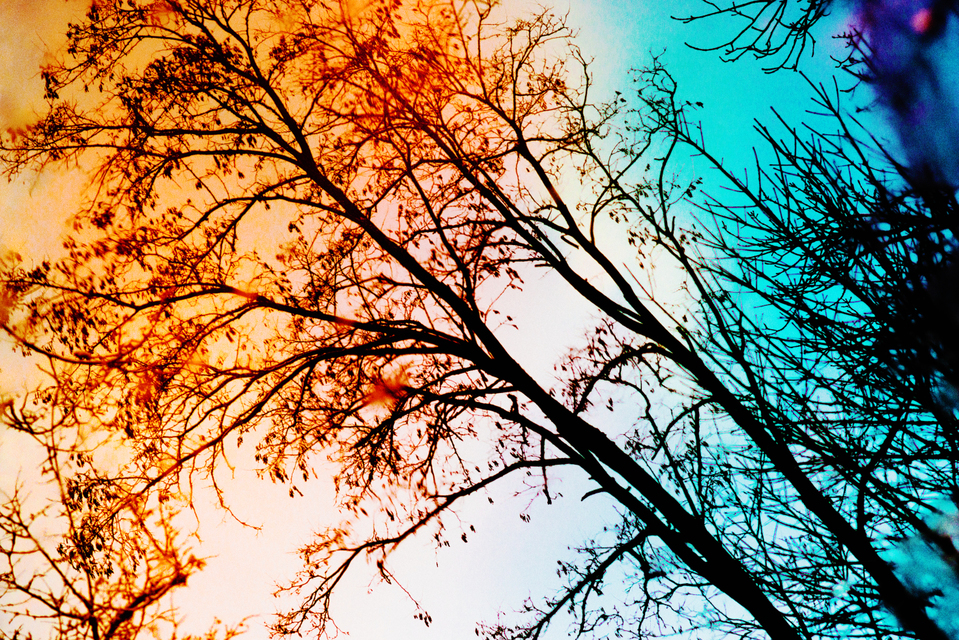 Puddle Refection I - ID 003204