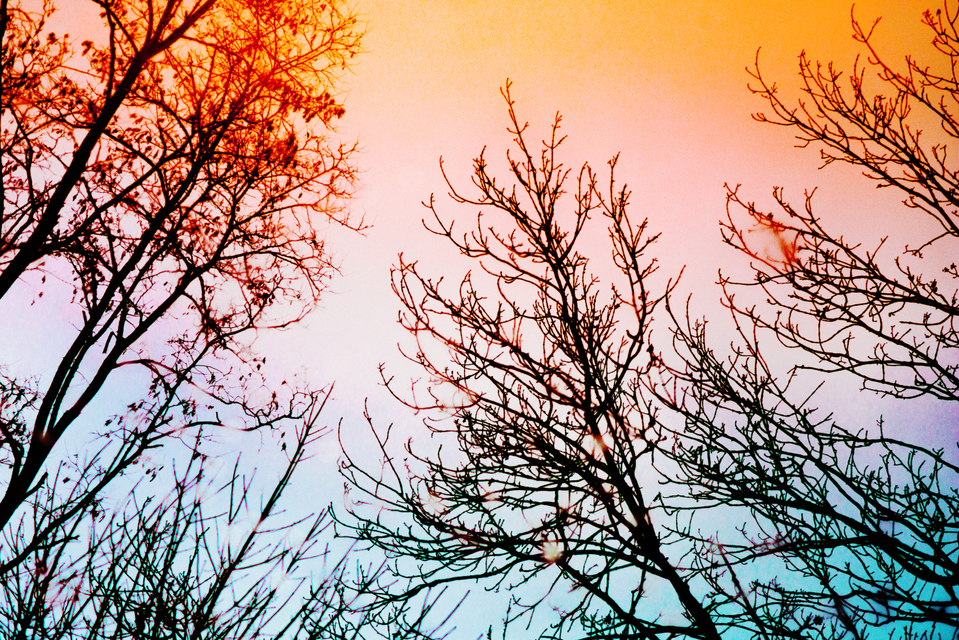 Puddle Refection II - ID 003205