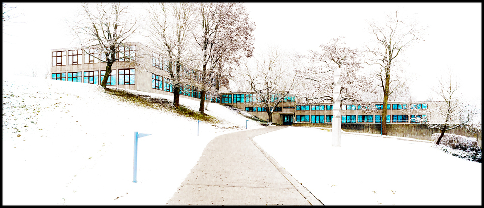 Blue on White I - ID 003208