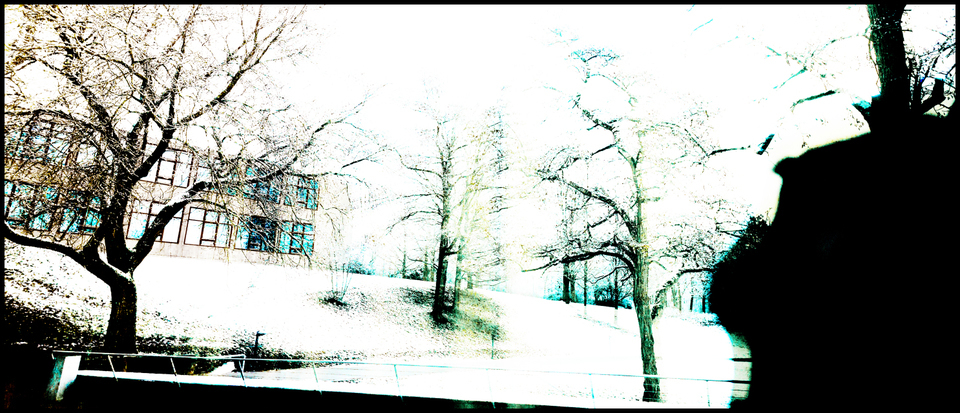 Blue on White III - ID 003210