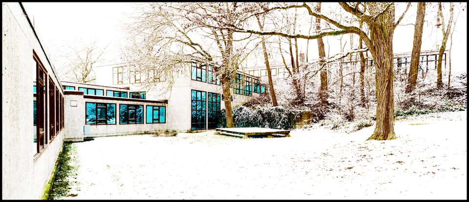 Blue on White IV - ID 003211