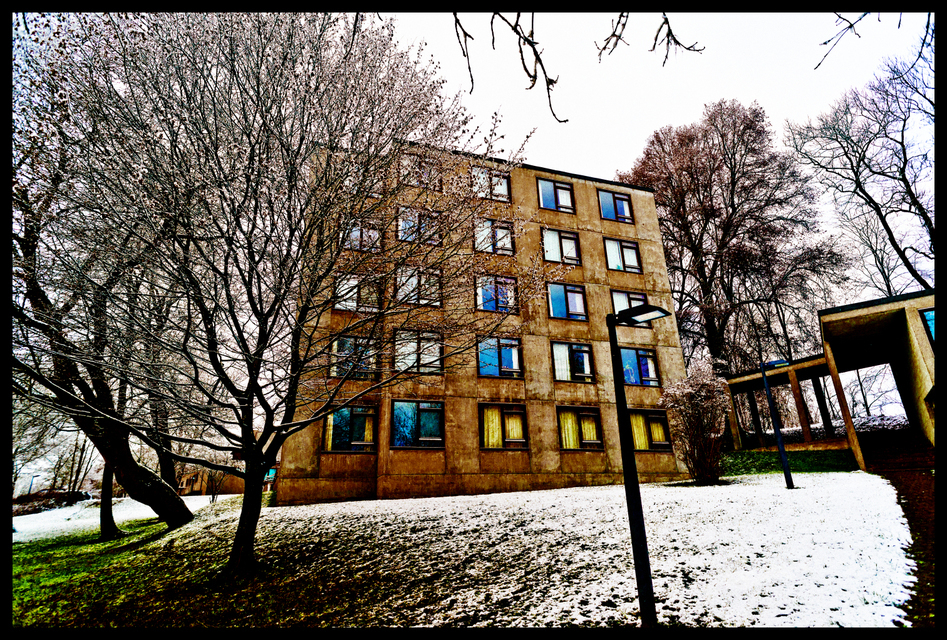 Student Stack II - ID 003217