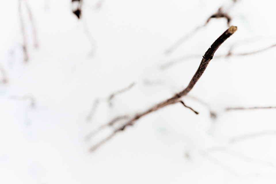 Out of White I - ID 003219