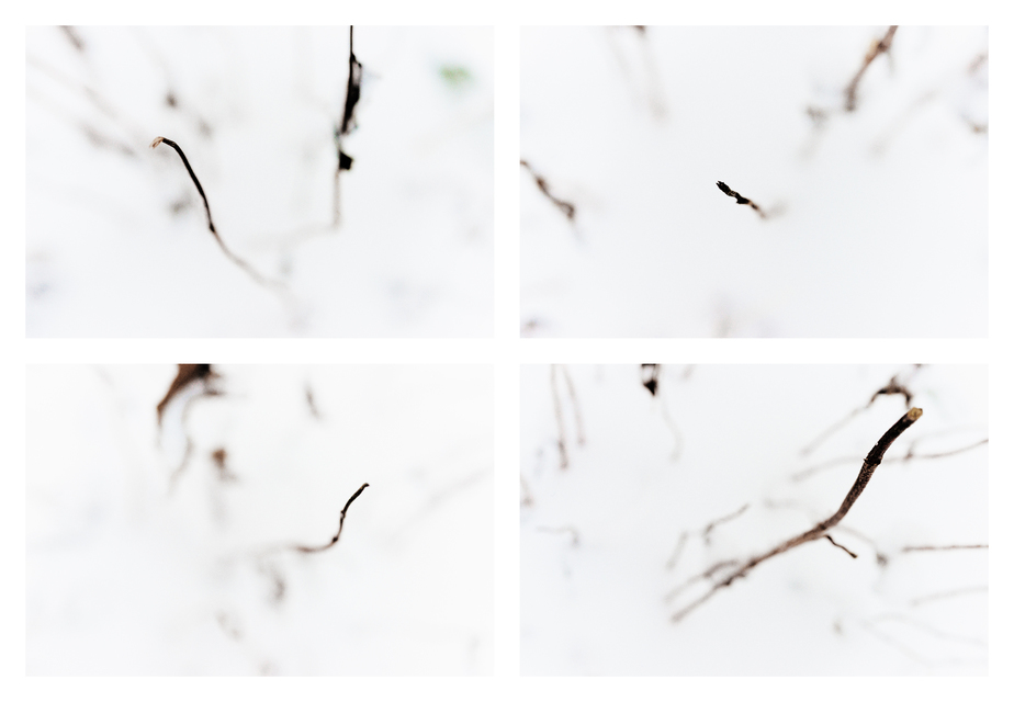 Out of White V - ID 003223