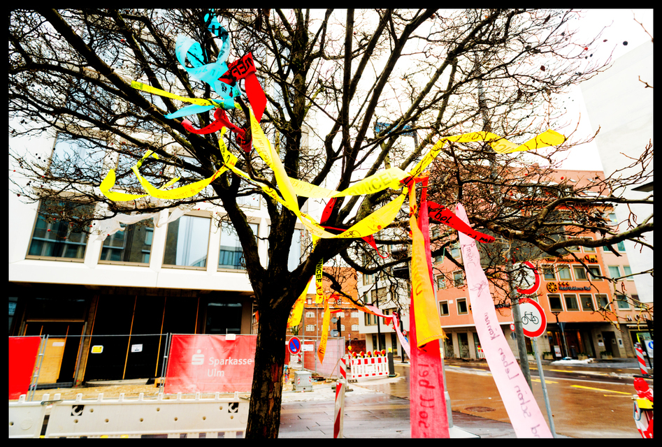 Ribbons in the Tree II - ID 003226