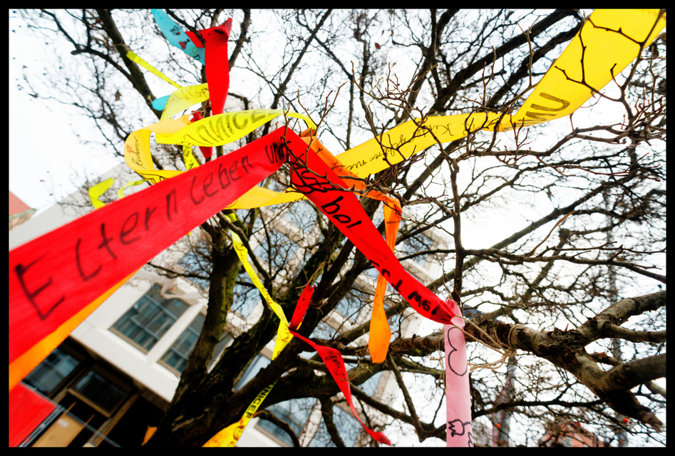 Ribbons in the Tree IV - ID 003228