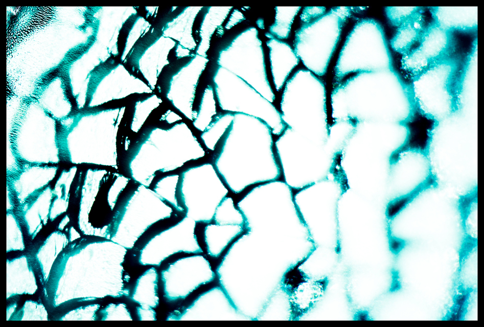 Cyan Glass I - ID 003259