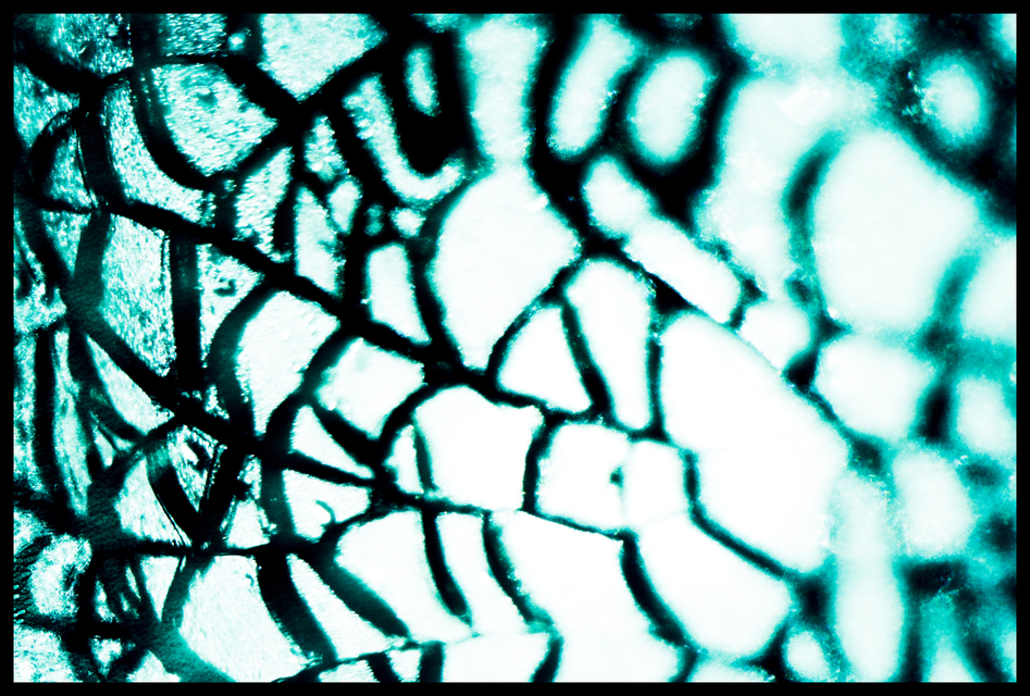 Cyan Glass II - ID 003260