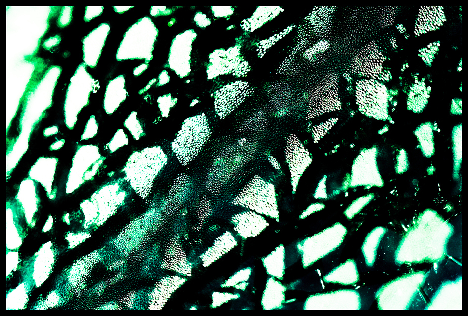 Green Glass I - ID 003261