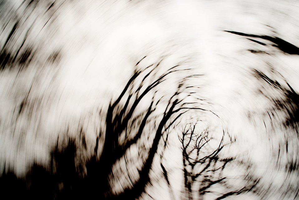 Dark Trees II - ID 003283