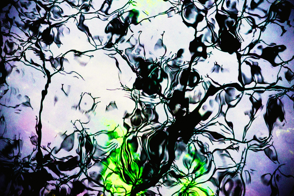 Water II - ID 003289